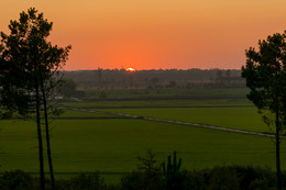 DSC04019-2.jpg DSC04019-2.jpg