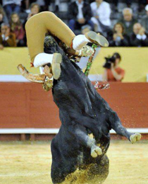 Valente pega de caras.png