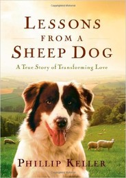 Lessons from a Sheep Dog.jpg