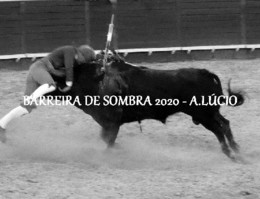 03 montemor 06082020.jpg