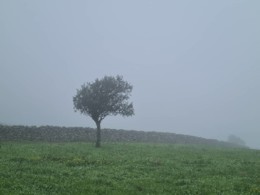 IMG_20201223_174500_008.jpg IMG_20201223_174500_008.jpg