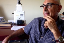 JOÃO GIL PEREIRA, NATURENA (1).JPG