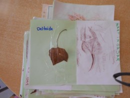 DSCN1888.JPG DSCN1888.JPG