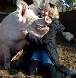 Amiga dos animais.png