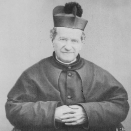 dombosco.png