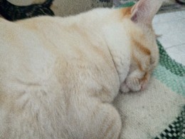 IMG_20190511_173132.jpg IMG_20190511_173132.jpg