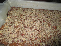 IMG_6504.JPG IMG_6504.JPG