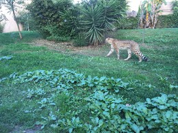 Photo 20-12-15, 12 18 42.jpg Photo 20-12-15, 12 18 42.jpg