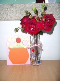 imagem5