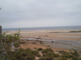 Foto1321. Ria Formosa. Foto de DAPL jpg