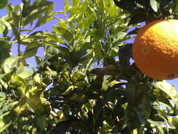 01022016927.jpg 01022016927.jpg