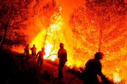 postimg-15819-600.jpg postimg-15819-600.jpg