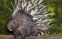 485735098_9386750351412780_8196912427520319380_n.j