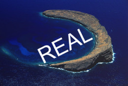 10 Ilhas lua e estrela FALSA.jpg