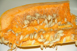 Abobora interira.jpg