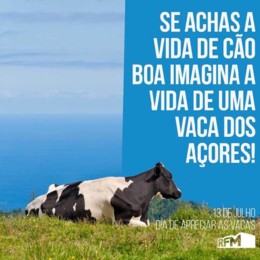 217635457_10160055086127923_6112581044277552441_n.