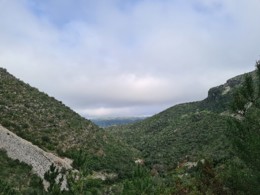 20201222_113958.jpg 20201222_113958.jpg