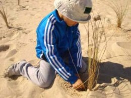 RNDSJ%20-%20plantio%20estorno%20criança_n3zous.jp