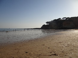 DSC09158.JPG DSC09158.JPG