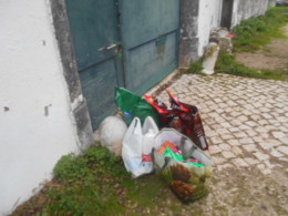 DSCN2393.JPG DSCN2393.JPG