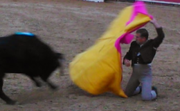 Pedro Gonçalves-farol.png