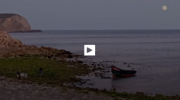 migrantes sic notícias.png