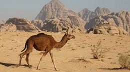 img_905x603$2016_05_25_09_27_20_538701.jpg img_905x603$2016_05_25_09_27_20_538701.jpg