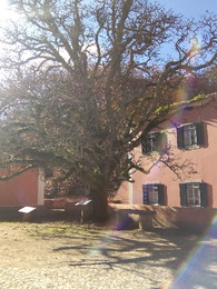 IMG_20151128_110352 (1).jpg IMG_20151128_110352 (1).jpg