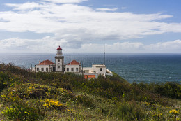 _DSC6650.jpg _DSC6650.jpg