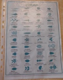 DSCN1889.JPG DSCN1889.JPG