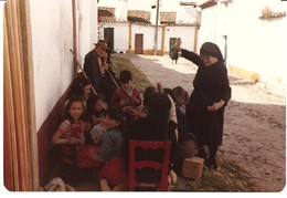 Arranjo dos Enfeites,  à sombra. FMCL 1984jpg