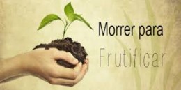 5º Domingo da Quaresma - B.jpg