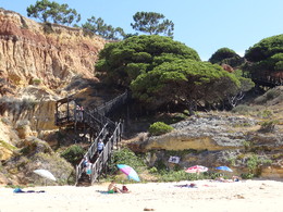 DSC08877.JPG DSC08877.JPG