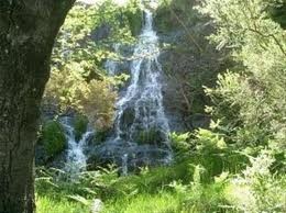 Coentral.jpg Coentral.jpg