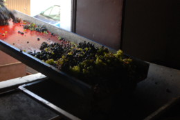 DSC_0061.JPG DSC_0061.JPG