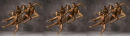 Bailarinos clássicos_ballet