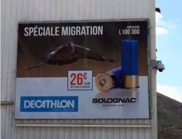 5ac3bb3896179.jpg 5ac3bb3896179.jpg