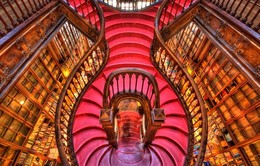 beautiful-bookstore-world-porto-lello-irmao-1.jpg