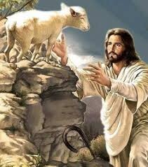 16º Domingo do TC - B - 18 de julho.jpg