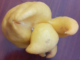 20210319_115228.jpg 20210319_115228.jpg