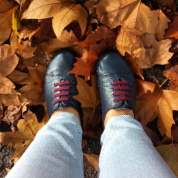 IMG_20181126_085607_516.jpg IMG_20181126_085607_516.jpg