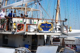 E subitamente TRAFALGAR