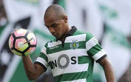 joaomario5.jpg