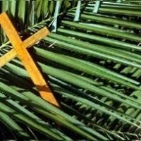 Domingo de Ramos - 14 de abril - B.jpg