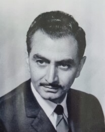 Joaquim Araújo da Silva Carneiro_n.jpg