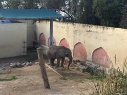 Photo 20-12-15, 12 19 27.jpg Photo 20-12-15, 12 19 27.jpg