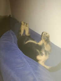 IMG_20171101_160901.jpg IMG_20171101_160901.jpg