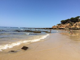 IMG_2573.JPG IMG_2573.JPG