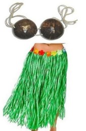 havai (2).jpg havai (2).jpg