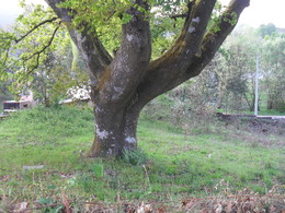 Pauzinho Primavra 2015 012.JPG